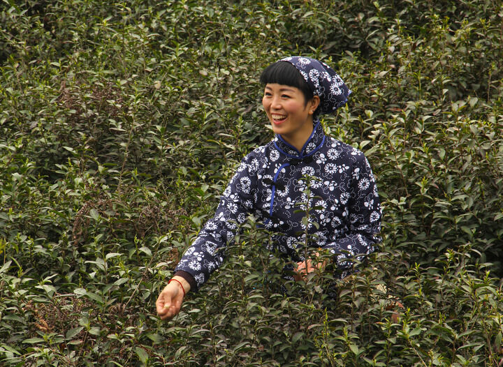 雨伞与子弹